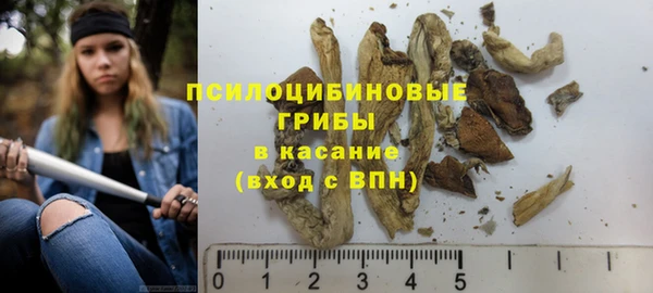ешки Богородицк