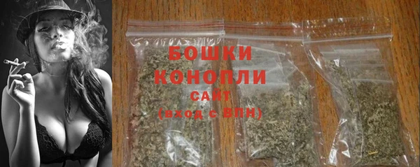 2c-b Богородск